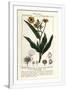 Gramercy White