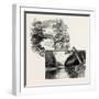 Stanhope Bridge (Left)-null-Framed Giclee Print