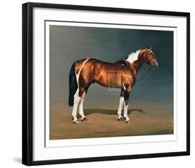 Stanhopes Diddicoy-Susan Crawford-Framed Collectable Print