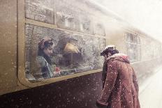 Snow storm charm-stanislav hricko-Framed Photographic Print