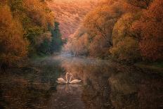 Small Autumn Fairy-Stanislav Hricko-Photographic Print