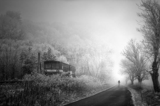 Photographic Print, , large