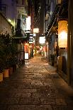 Night Alley.Osaka.Japan.Area Dotonbori.2008 Year-Stanislav Komogorov-Photographic Print