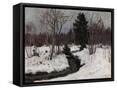 Framed Canvas