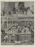 Gordons and Greys to the Front! Incident at Waterloo-Stanley Berkeley-Giclee Print