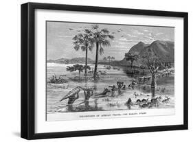 Stanley Crossing Swamp-null-Framed Giclee Print