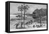 Stanley Crossing Swamp-null-Framed Stretched Canvas