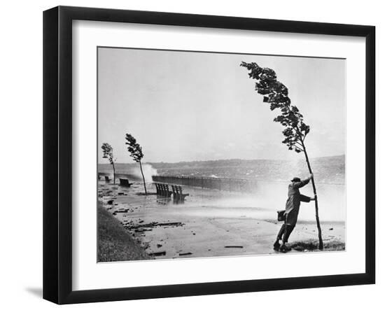 Premium Photographic Print, , large