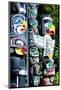 Stanley Park Totem Poles-null-Mounted Art Print