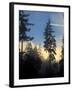 Stanley Park, Vancouver, British Columbia, Canada-Rick A. Brown-Framed Photographic Print