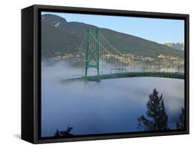 Stanley Park, Vancouver, British Columbia, Canada-Rick A. Brown-Framed Stretched Canvas