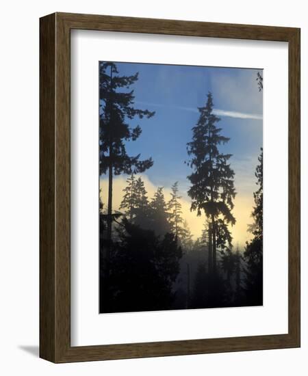 Stanley Park, Vancouver, British Columbia, Canada-Rick A. Brown-Framed Photographic Print