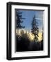 Stanley Park, Vancouver, British Columbia, Canada-Rick A. Brown-Framed Photographic Print