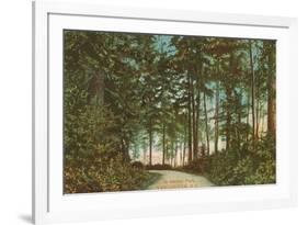 Stanley Park, Vancouver,British Columbia-null-Framed Premium Giclee Print