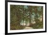 Stanley Park, Vancouver,British Columbia-null-Framed Premium Giclee Print