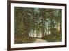 Stanley Park, Vancouver,British Columbia-null-Framed Art Print