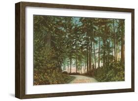 Stanley Park, Vancouver,British Columbia-null-Framed Art Print