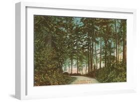 Stanley Park, Vancouver,British Columbia-null-Framed Art Print