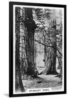 Stanley Park, Vancouver, Canada, C1920S-null-Framed Giclee Print