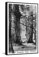 Stanley Park, Vancouver, Canada, C1920S-null-Framed Stretched Canvas