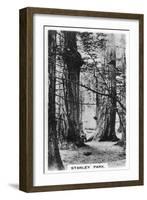 Stanley Park, Vancouver, Canada, C1920S-null-Framed Giclee Print