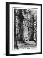 Stanley Park, Vancouver, Canada, C1920S-null-Framed Giclee Print