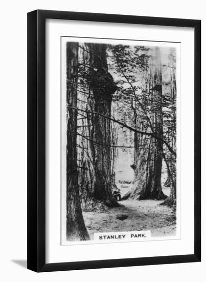 Stanley Park, Vancouver, Canada, C1920S-null-Framed Giclee Print