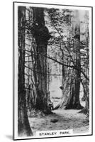 Stanley Park, Vancouver, Canada, C1920S-null-Mounted Giclee Print