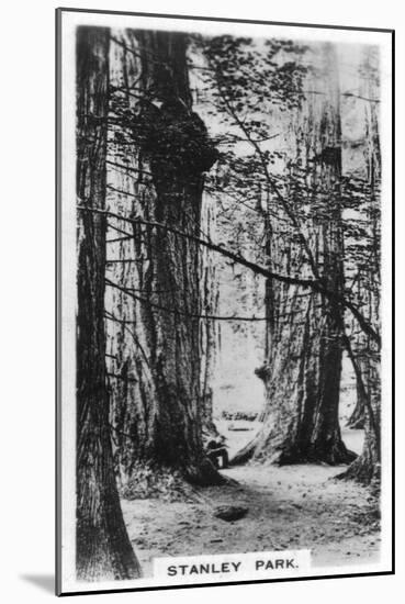 Stanley Park, Vancouver, Canada, C1920S-null-Mounted Giclee Print