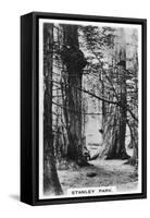 Stanley Park, Vancouver, Canada, C1920S-null-Framed Stretched Canvas