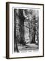 Stanley Park, Vancouver, Canada, C1920S-null-Framed Giclee Print