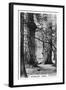 Stanley Park, Vancouver, Canada, C1920S-null-Framed Giclee Print