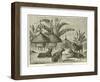 Stanley's Dogs in the Village of Kagehyi-null-Framed Giclee Print