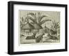 Stanley's Dogs in the Village of Kagehyi-null-Framed Giclee Print