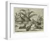 Stanley's Dogs in the Village of Kagehyi-null-Framed Giclee Print