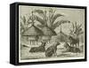 Stanley's Dogs in the Village of Kagehyi-null-Framed Stretched Canvas