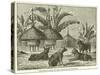 Stanley's Dogs in the Village of Kagehyi-null-Stretched Canvas