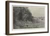 Stanley's Emin Pasha Relief Expedition-Charles Auguste Loye-Framed Giclee Print