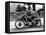 Stanley Woods on Moto Guzzi in 1935 Isle of Man, Senior TT Race-null-Framed Stretched Canvas