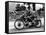 Stanley Woods on Moto Guzzi in 1935 Isle of Man, Senior TT Race-null-Framed Stretched Canvas