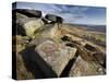 Stannage Edge, Hope Valley, Derbyshire, England, Uk-David Wogan-Stretched Canvas