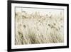 Stanpit Rushes-Bernard Webb-Framed Giclee Print