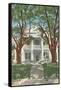 Stanton Hall, Natchez, Mississippi-null-Framed Stretched Canvas