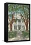 Stanton Hall, Natchez, Mississippi-null-Framed Stretched Canvas