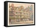 Framed Canvas