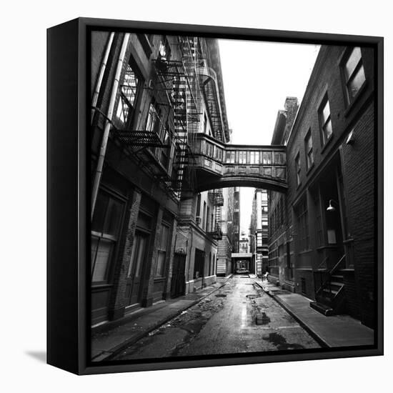 Staple Street-Evan Morris Cohen-Framed Stretched Canvas