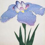 Tanka No-Koe Book of a Pink Iris-Stapleton Collection-Giclee Print