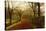 Stapleton Park, Pontefract-John Atkinson Grimshaw-Stretched Canvas