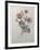 Star Anemone-Pierre-Joseph Redoute-Framed Art Print