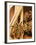 Star Anise and Cinnamon Sticks in Wooden Bowl-null-Framed Photographic Print